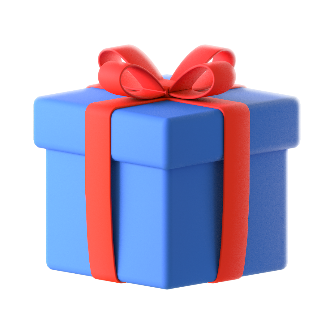 SpineRelief Zip Lock Travel Bag